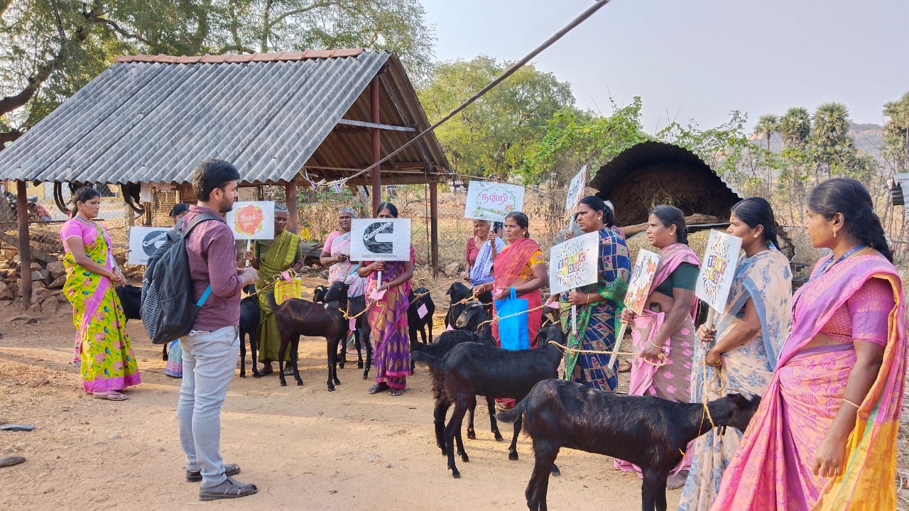 Livelihood Support for Widows at DBAI, Salem